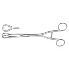 Heywood-Smith Sponge Holding Forcep Straight Stainless Steel, 20 cm - 8"